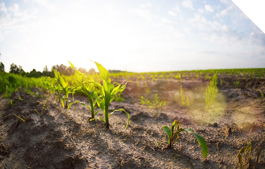 slider podstrona tlo7 pole