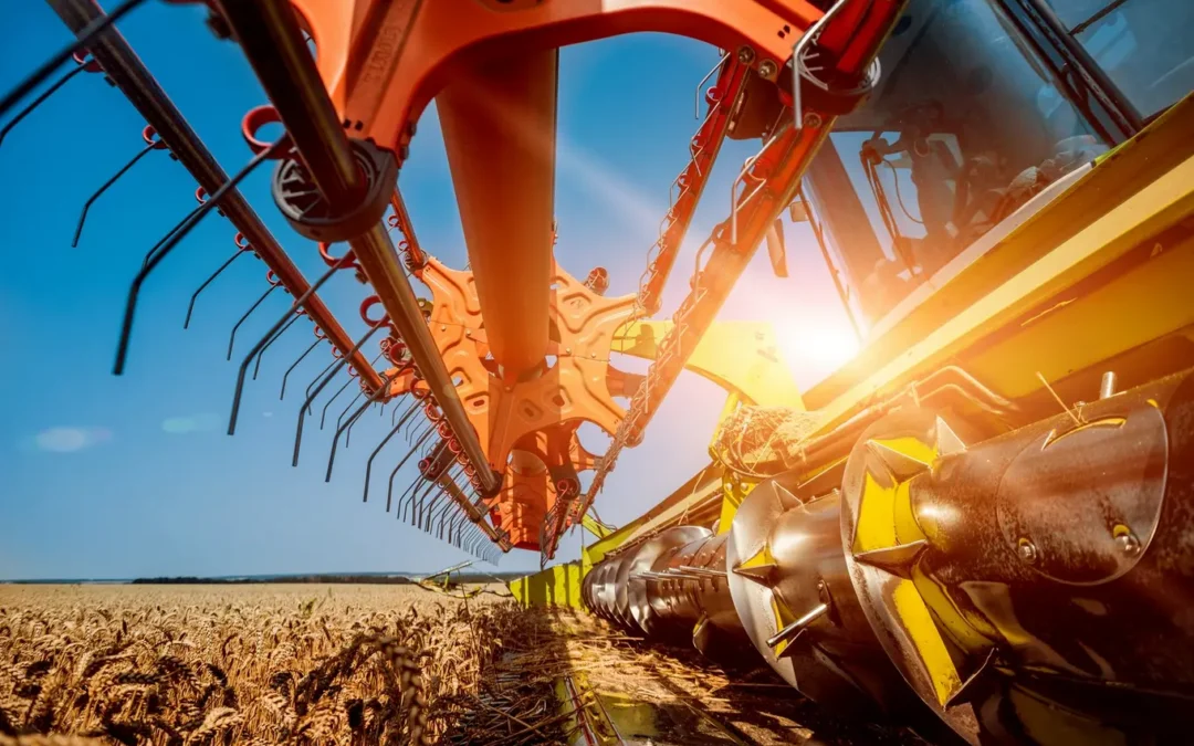 Pielniki do upraw międzyrzędowych a efektywność plonów